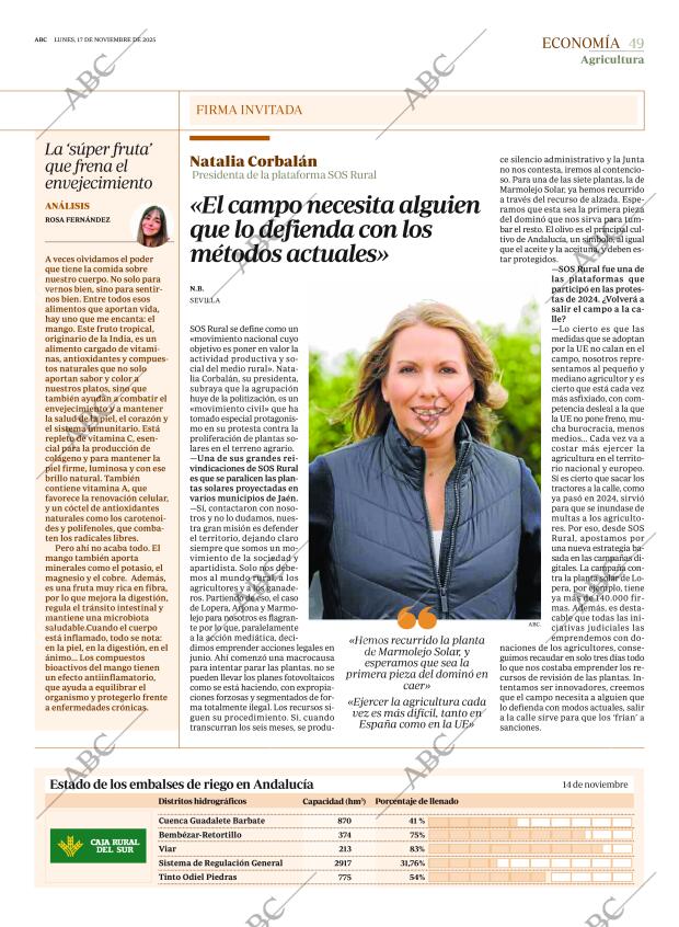 ABC SEVILLA 17-11-2025 página 49