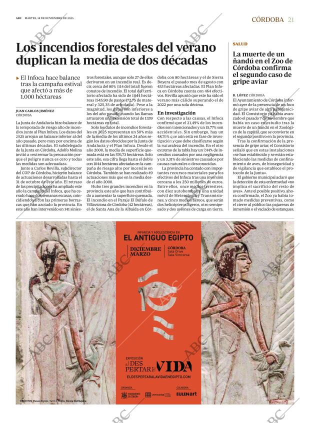 ABC CORDOBA 18-11-2025 página 21