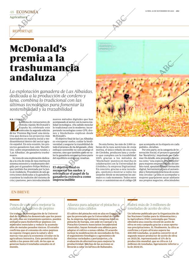 ABC SEVILLA 24-11-2025 página 48