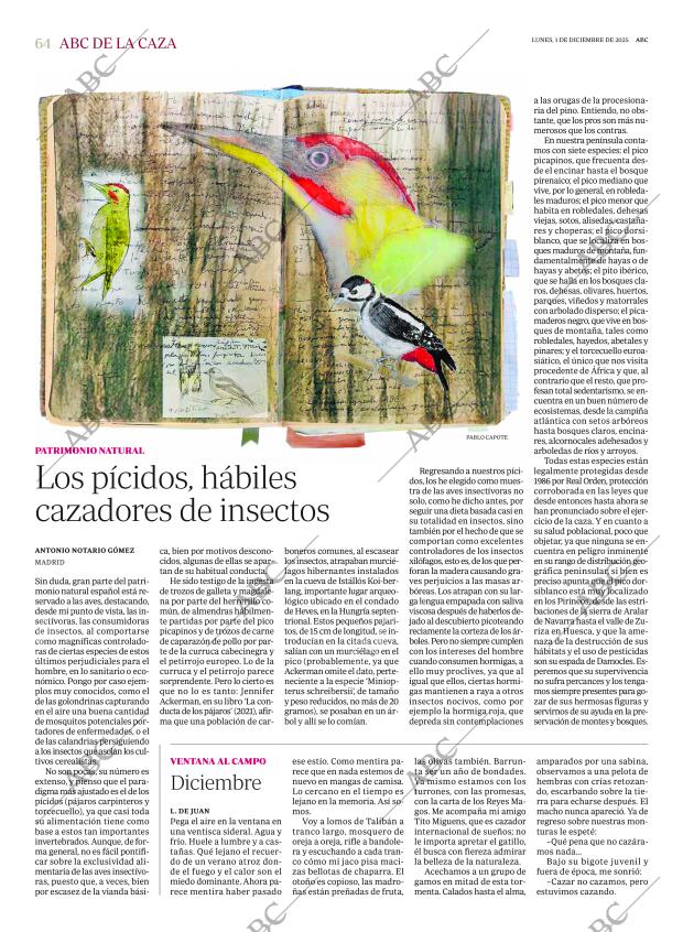 ABC CORDOBA 01-12-2025 página 64
