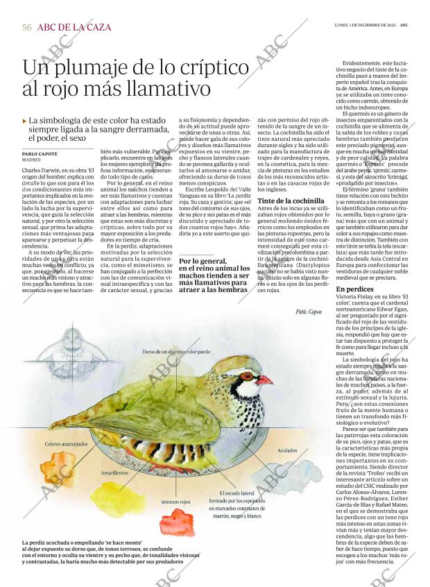 ABC MADRID 01-12-2025 página 56