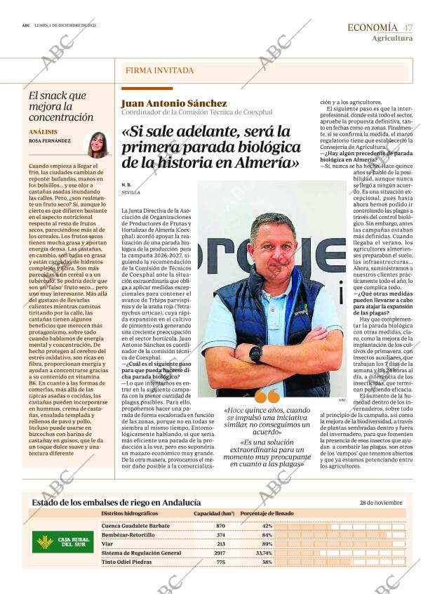 ABC SEVILLA 01-12-2025 página 47