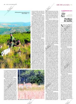 ABC SEVILLA 01-12-2025 página 79