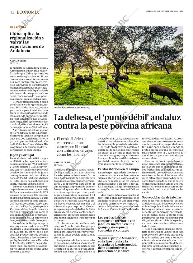 ABC CORDOBA 03-12-2025 página 42