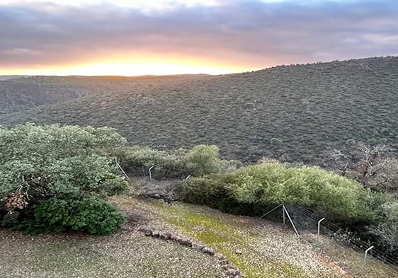 Un viaje entre la Sierra y la historia minera de Huelva