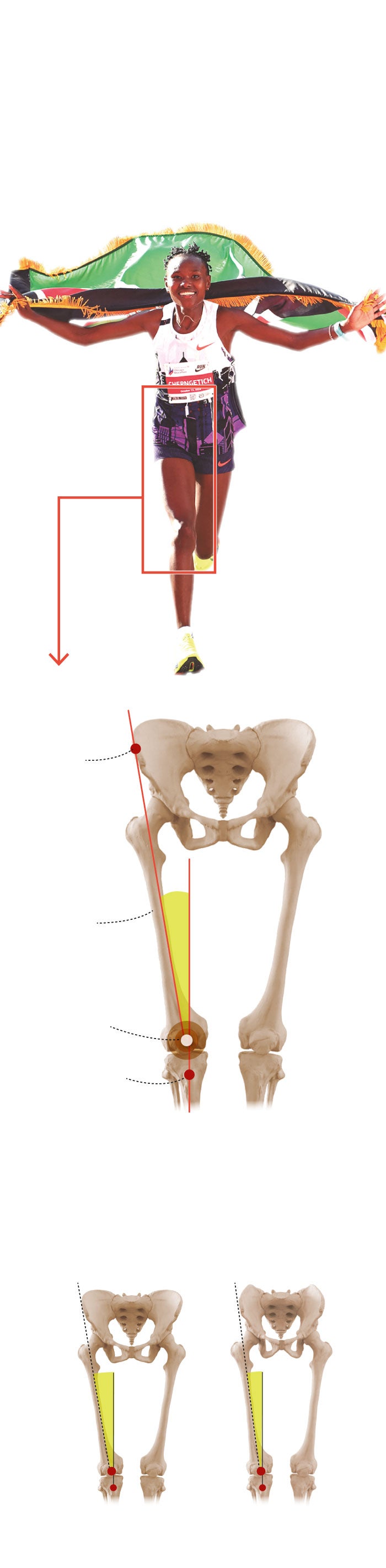 ¿Qué es el ángulo Q? El aspecto físico que explicaría por qué las ...