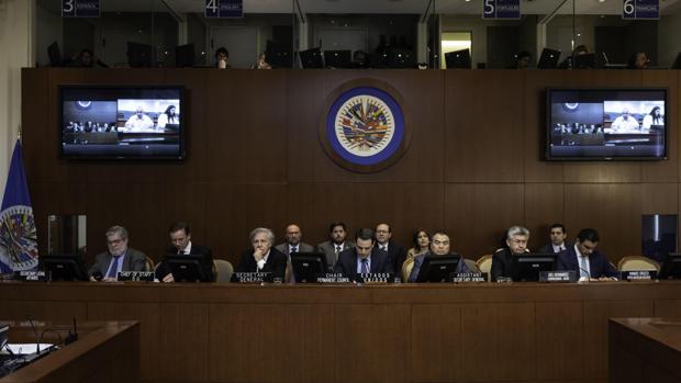 Fotografía cedida por la Organización de Estados Americanos (OEA)