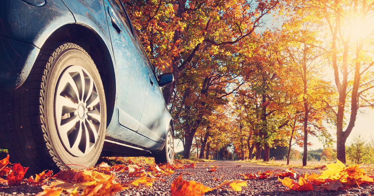 Ocho consejos para conducir seguro en otoño