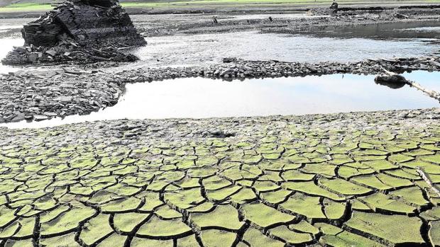 Tierra seca y cuarteada en el embalse de Belesar (Galicia)