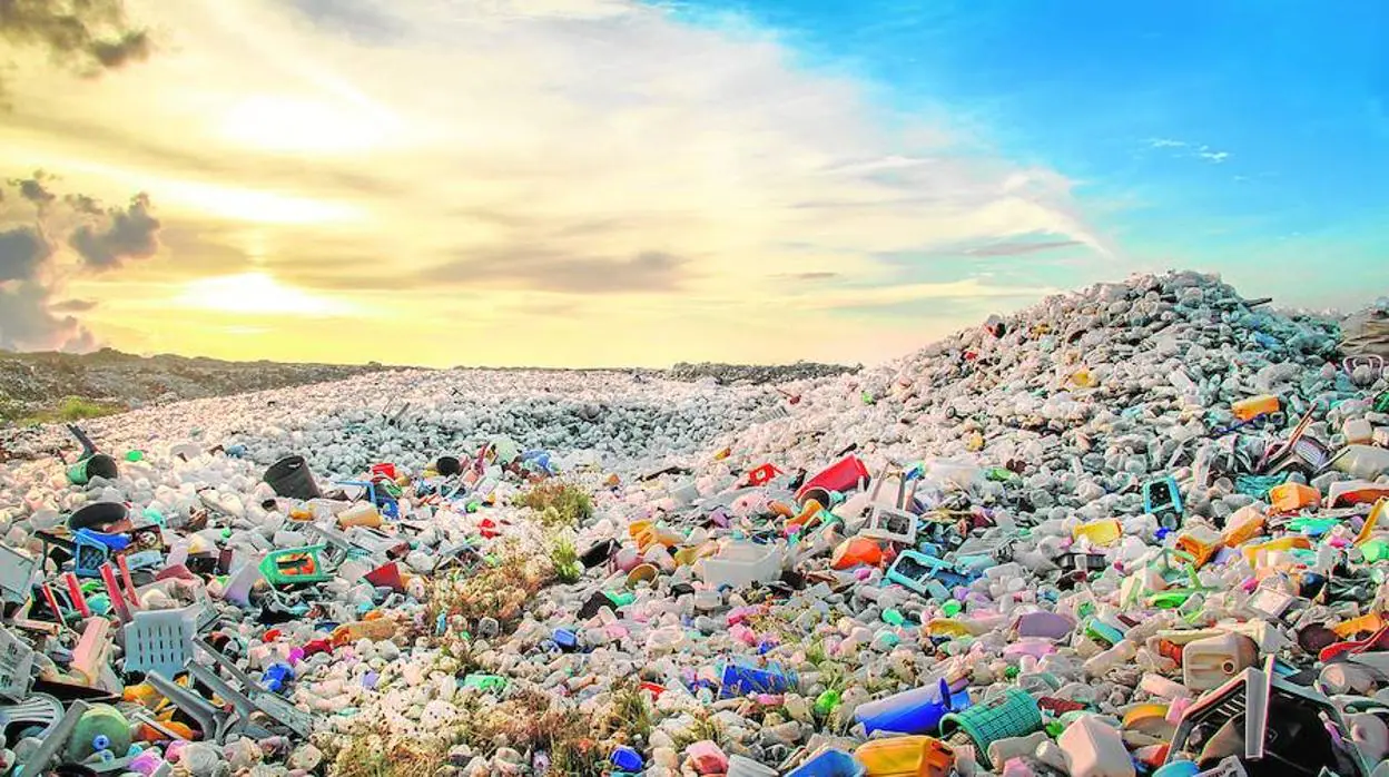 La lucha mundial contra las pajitas de plástico