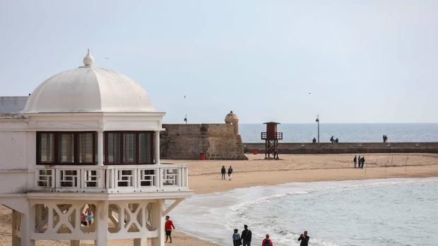 Descubren en una playa de Cádiz diez especies marinas nuevas para la Ciencia