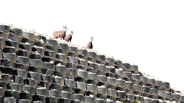 Los neumáticos se fabrican con materiales valiosos como el acero, el caucho o la fibra textil