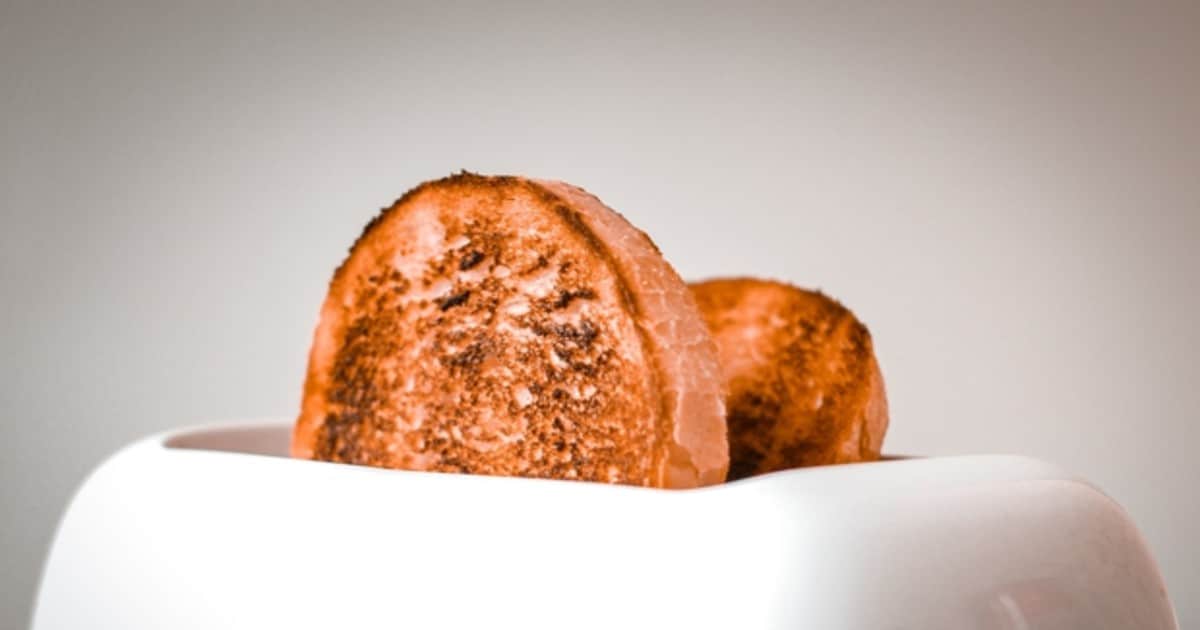 Las 10 mejores tostadoras de pan de 2023