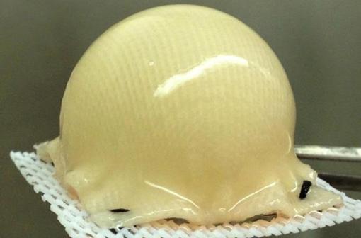 Estructura 3D rodeada de cartílago con la forma de la articulación de la cadera