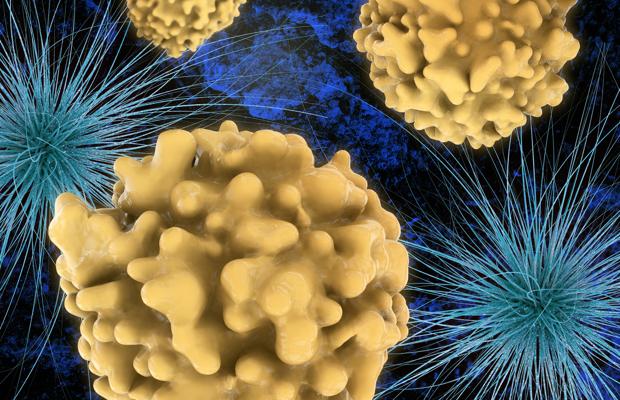 Bacteria que provoca la gonorrea