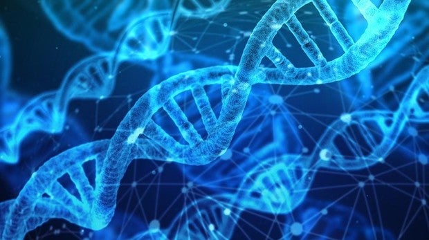 Ciertos genes están asociados con un mayor consumo de alcohol y tabaco