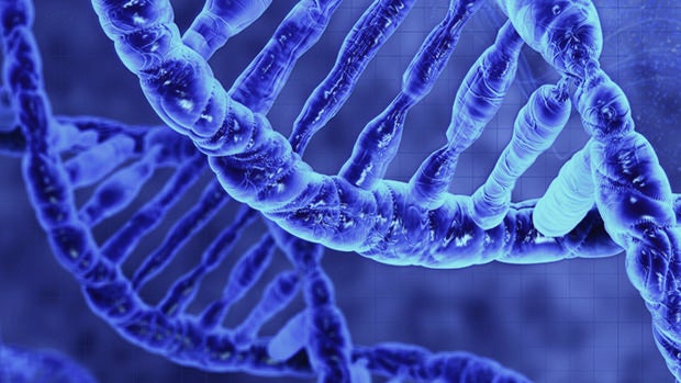El objetivo es descubrir nuevas vías para detectar compuestos diseñados que retrasen o detengan la progresión de la enfermedad