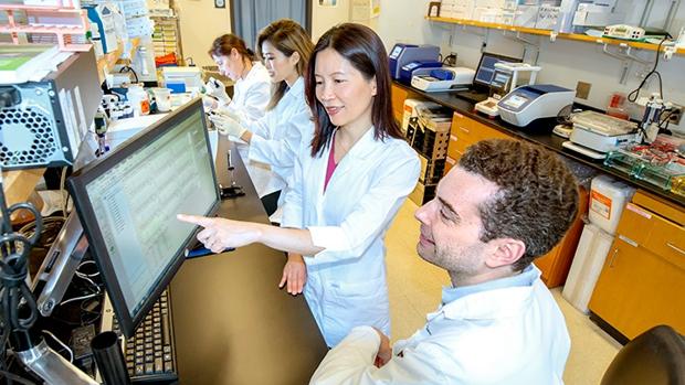 Equipo de la investigación