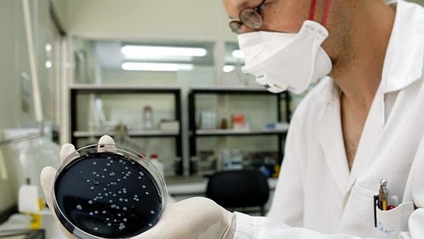 Cultivo de una cepa de legionella en laboratorio