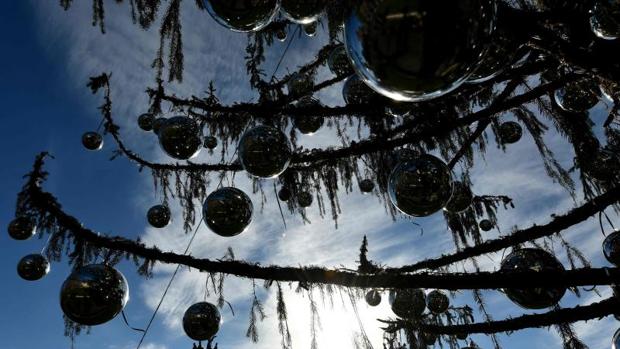 Estado en el que se encuentra el abeto de Navidad de Roma, al que este año han apodado «Spelacchio»