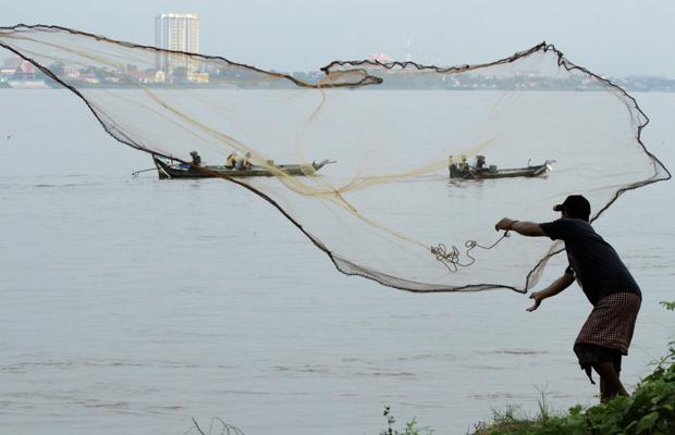 El panga procede del río Mekong en Vietnam, uno de los más contaminados