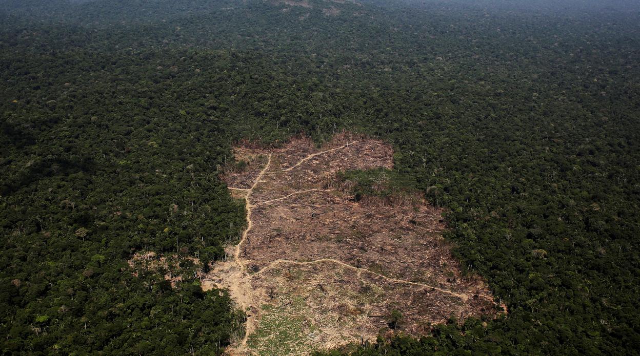 La deforestación en el Amazonas alcanza su nivel más alto en diez años