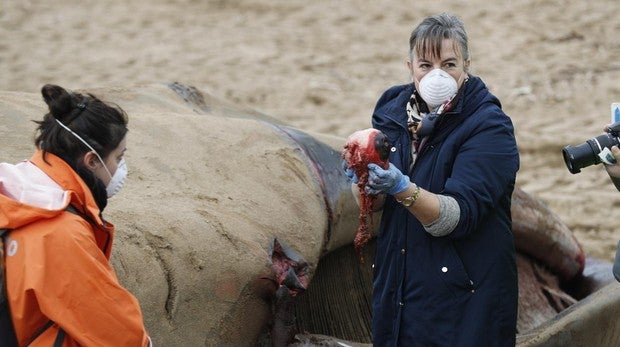 Una profesora de medicina de la Universidad del País Vasco, con u ojo de la ballena