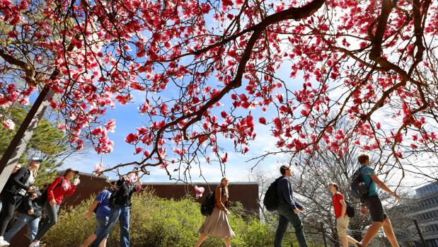 Estudiantes de la Universidad de Iowa caminan por el campus