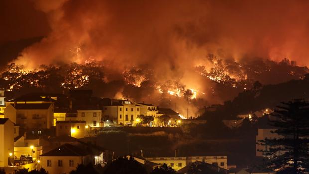 Un bosque en llamas en los incendios de Portugal