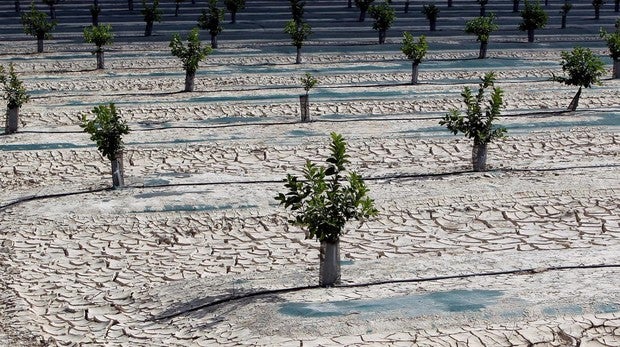 La sequÃa amenaza el suministro en algunas localidades y lleva pérdidas millonarias al campo