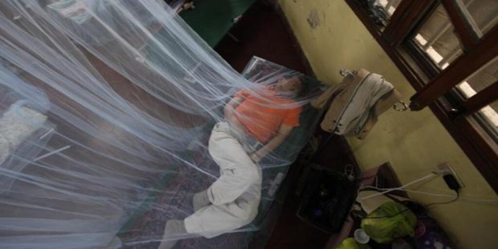 Ya son 177 los muertos por el peor brote de dengue hemorrágico en la  historia de Honduras