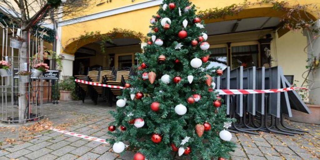 La pandemia dispara la demanda de árboles de Navidad