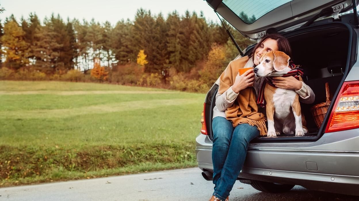 Él mismo Ventilación desmayarse Seis consejos para viajar en coche compartido con tu perro este verano