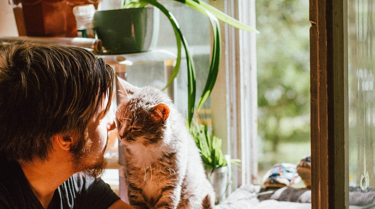 5 razones por las que tu gato te ama con locura