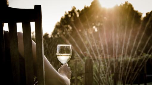 Los vinos jóvenes son mucho más refrescantes