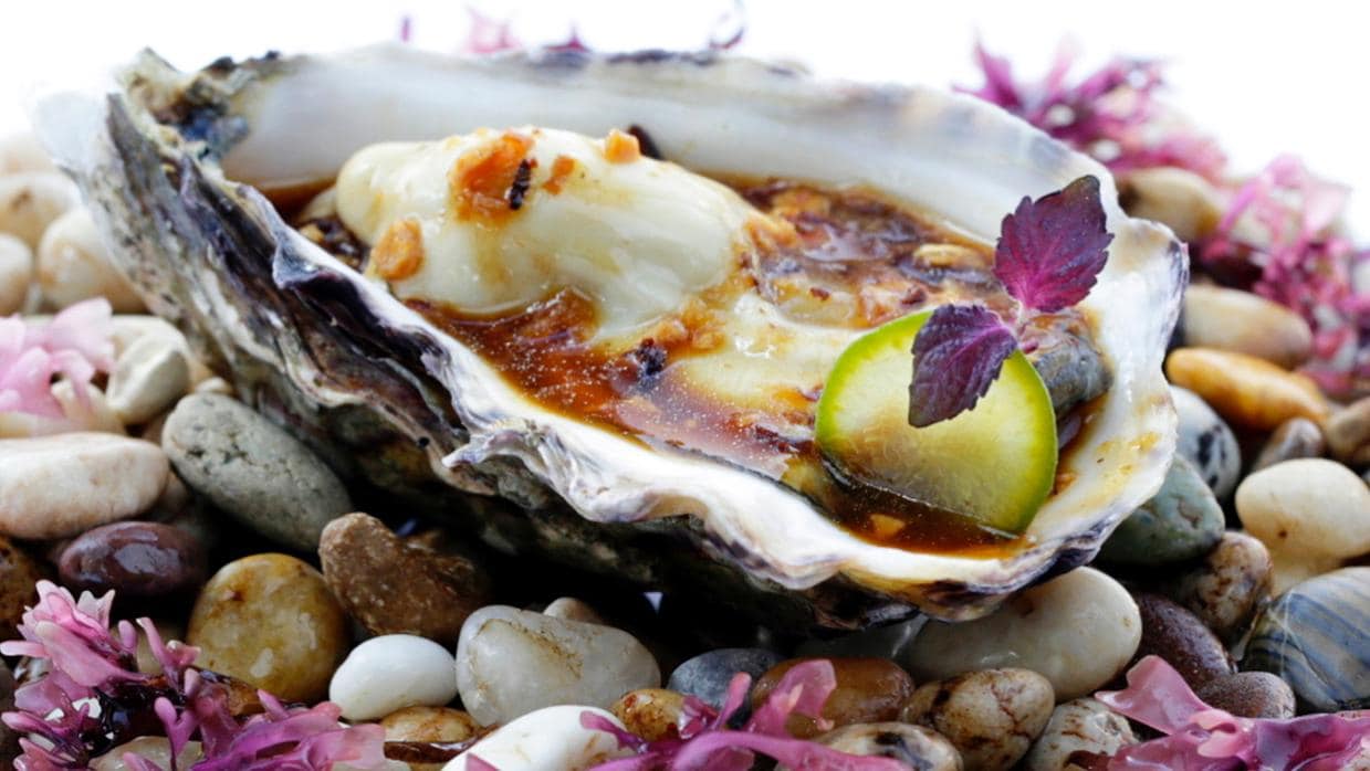 castigo Altitud mimar Todo sobre las ostras: mitos, verdades y direcciones