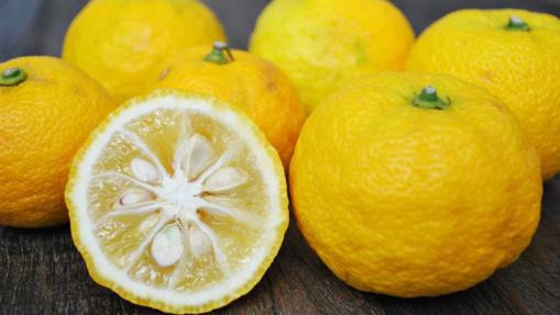 El yuzu es un cítrico japonés con un toque amargo
