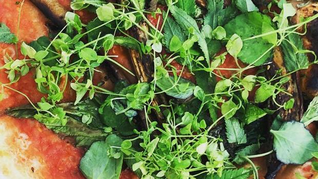 Este otoño comerás malas hierbas