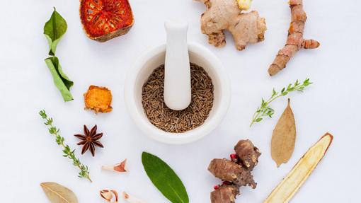 La galanga es una planta parecida al jengibre muy utilizada en las cocinas asiáticas