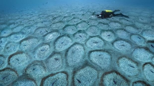 Alerta para coleccionistas: Edición limitada Blancpain Tribute to Fifty Fathoms No Rad