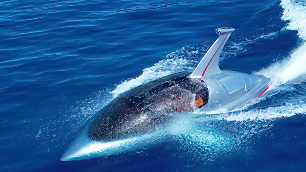 La embarcación con forma de tiburón de 300.000 dólares que revolucionará el mercado