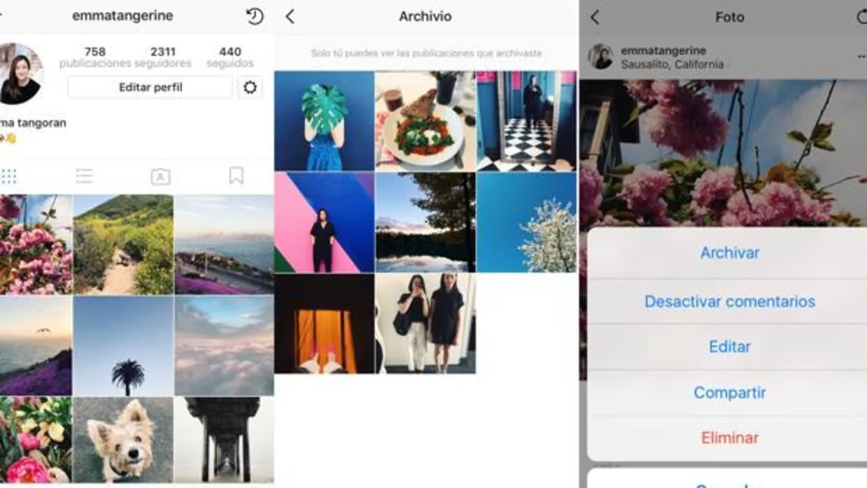 montículo Absolutamente Capilares Instagram, tu álbum privado: lanza una función para crear un archivo