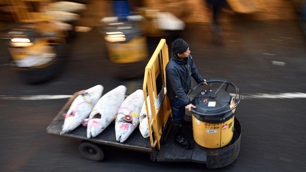 Un hombre transporta atunes congelados para una subasta el 2 de marzo de 2018 en el mercado de pescados Tsukiji