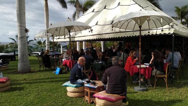 Jornada de trabajo en un jardín en Tenerife, con una temperatura de alrededor de 20 grados en pleno invierno